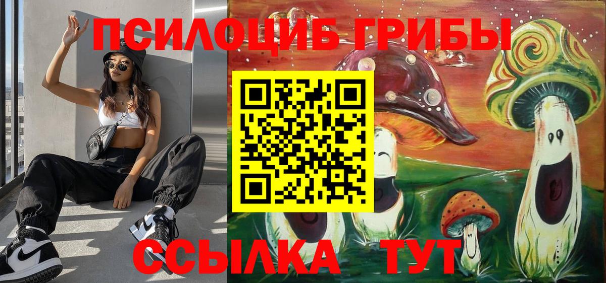Псилоцибиновые грибы Psilocybe  Вход с VPN  Саяногорск 